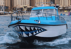 Elegant 35 Feet Shark Boat